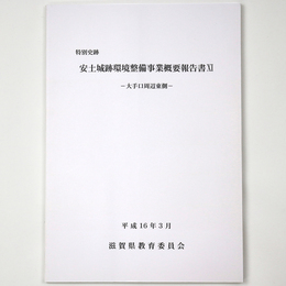 特別史跡　安土城跡環境整備事業概要報告書11　大手口周辺東側