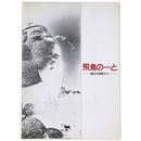 飛鳥のーと　最近の調査から