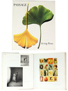 Irving Penn: PASSAGE