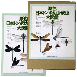 原色日本トンボ幼虫・成虫大図鑑