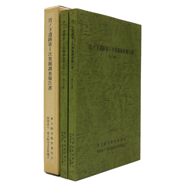 宮ノ下遺跡発掘調査報告書