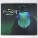 野生の瞬間　華麗なる鳥の世界