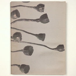 河口龍夫　見えないものと見えるもの