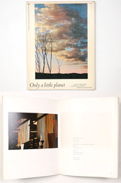 Only a Little Planet