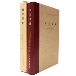 根岸遺跡　磐城郡衙跡の調査