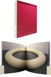 MIND GARDEN　Fukushima Noriyasu　Shizubi Project 5　抽象する場 福嶋敬恭作品集