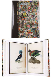 武蔵野美術大学コレクション博物図譜　デジタルアーカイブの試み