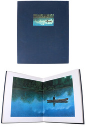 Henry D. Thoreau: Walden or Life in the Woods illustrated by Paul Davis