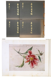 景年草花写生帖　全4冊揃