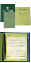 鮎　毛バリ大図鑑