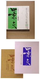 景文の写生帳　京都・四条派の確率者