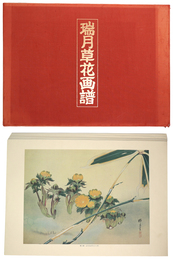 瑞月草花画譜