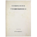 千代田遺跡発掘調査報告書