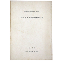 上椿遺跡発掘調査報告書