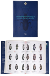 Photographic Catalogue of the Genus Carabus