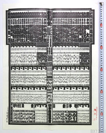 大相撲番付表 平成5年春場所 曙太郎 小錦八十吉 貴ノ花光司
