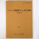 バ・コン窯跡群6Ａ、B号窯跡　発掘調査報告書