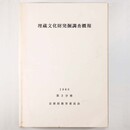 埋蔵文化財発掘調査概報　第2分冊