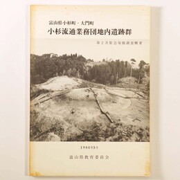 富山県小杉町・大門町　小杉流通業務団地内遺跡群　第2次緊急発掘調査概要