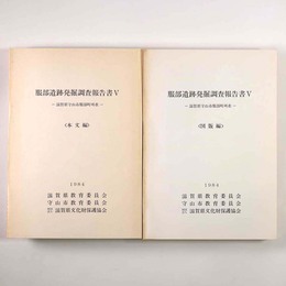 服部遺跡発掘調査報告書5　本文編・図版編