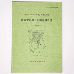 森永「エンゼルの森」開発区域内　埋蔵文化財分布調査報告書　B工区