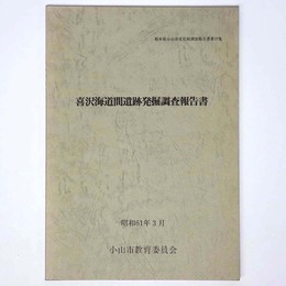 喜沢梅道間遺跡発掘調査報告書