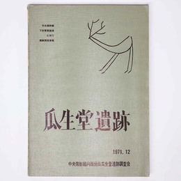 瓜生堂遺跡　中央南幹線下水管渠築造に伴う遺跡調査概報