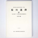 原川遺跡４　図版編　平成２年度袋井バイパス(掛川地区)埋蔵文化財発掘調査報告書