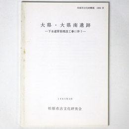 大県・大県南遺跡　下水道管渠埋摂工事に伴う