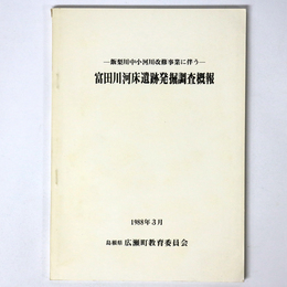 富田川河床遺跡発掘調査概報　飯梨川中小河川改修事業に伴う