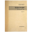 保渡田7遺跡　保渡田古墳群に関連する遺構群