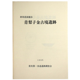 青梨子金古境遺跡