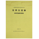 島根県簸川郡斐川町神庭西谷所在　荒神谷遺跡銅剣発掘調査概報