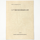 大下遺跡発掘調査報告書