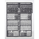 大相撲番付表　昭和56年5月　夏場所