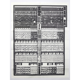 大相撲番付表　平成6年7月　名古屋場所