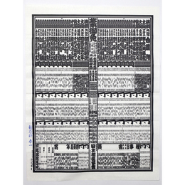 大相撲番付表　平成22年1月　初場所