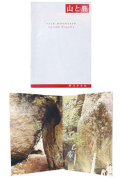 山と鹿　DEER MOUNTAIN