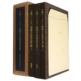 千葉ニュータウン埋蔵文化財調査報告書1　本文編・図版1・2