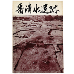 番清水遺跡　発掘調査の概報