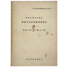 関越自動車道関係埋蔵文化財発掘調査報告1 南大塚・中組・上組・鶴ケ丘・花影