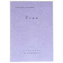 鹿島町　坪川遺跡