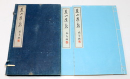 泰山遺稿 全2冊揃