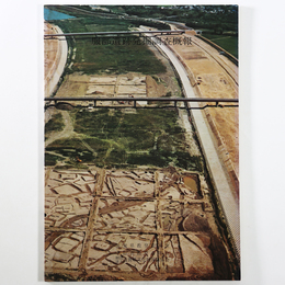 服部遺跡発掘調査概報