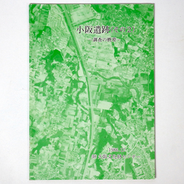 小阪遺跡（その2）調査の概要