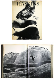 SAM HASKINS: NOVEMBER GIRL 1967