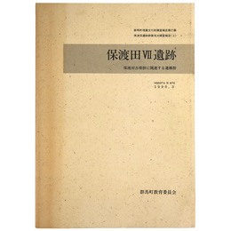 保渡田7遺跡　保渡田古墳群に関連する遺構群