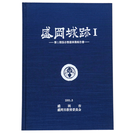 盛岡城跡1　第1期保存整備事業報告書