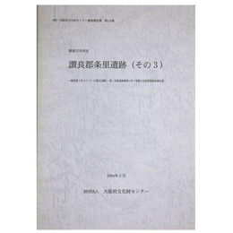 讃良郡条里遺跡(その3)　一般国道1号バイパス(大阪北道路)・第二京阪道路建設に伴う埋蔵文化財発掘調査報告書