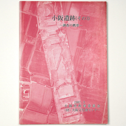 小阪遺跡(その3)調査の概要